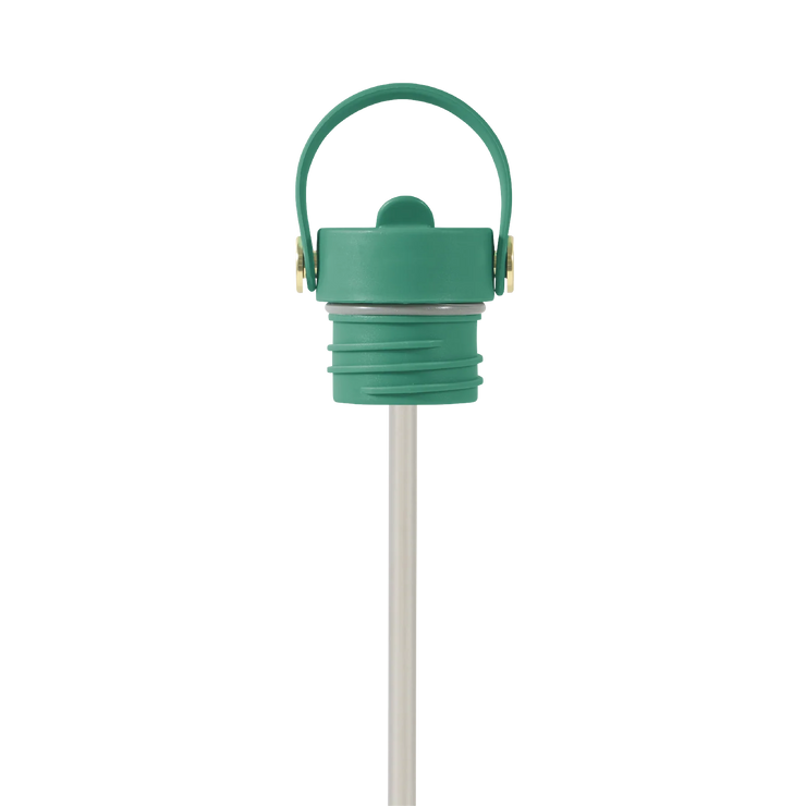 Field Bottle Sip Lid & Metal Straw / Parisian Green