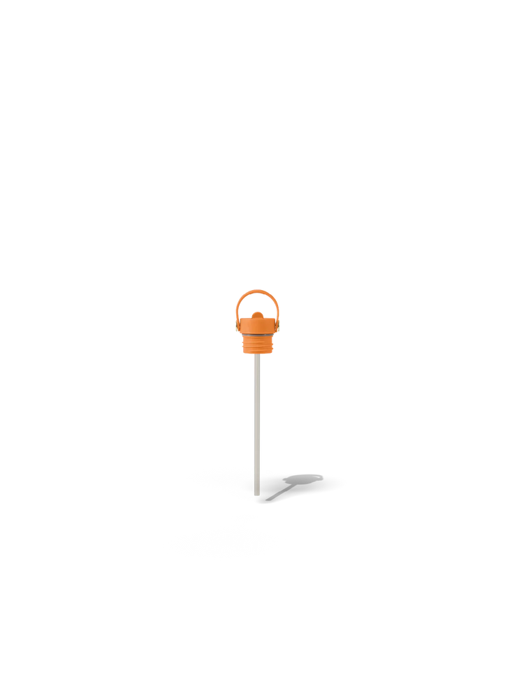 Field Bottle Sip Lid & Metal Straw / Orchard Orange