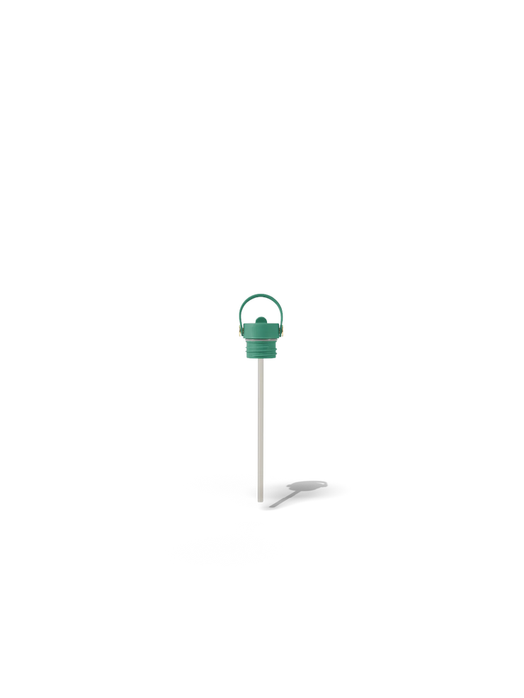 Field Bottle Sip Lid & Metal Straw / Parisian Green