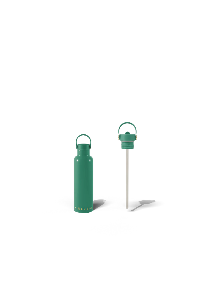 Field Bottle Sip Lid & Metal Straw / Parisian Green