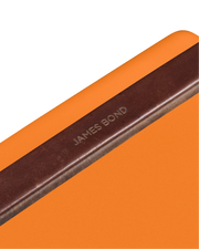 Cooler Box Trio / Orchard Orange